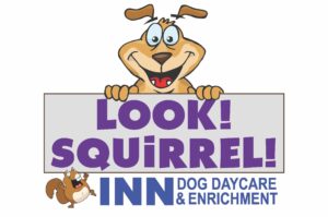 Look!Squirrel! Inn Logo